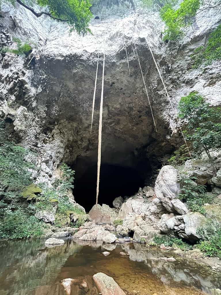 View of the large entrance to Rio Frio Cave in Belize.