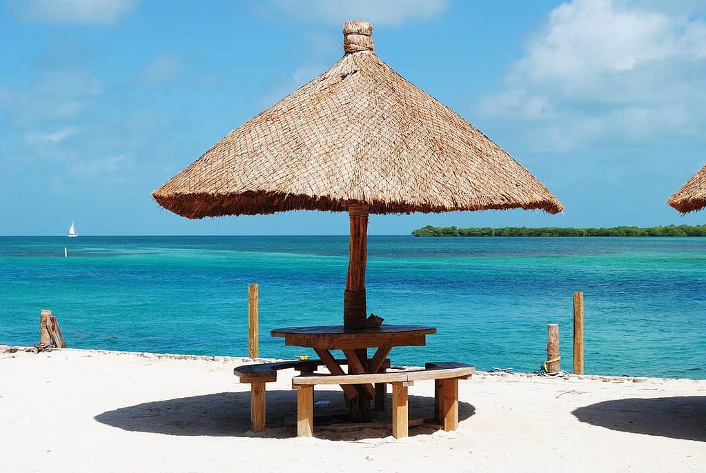belize, cay caulker, ambergris
