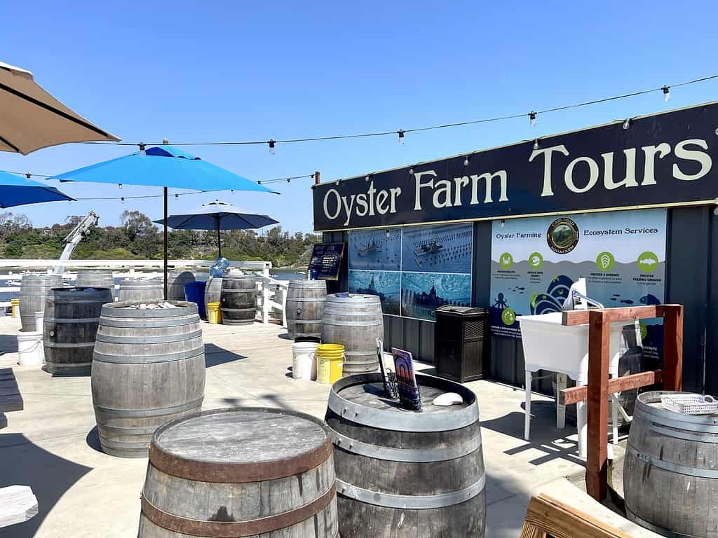 Oyster Farm Tours in Carlsbad, California