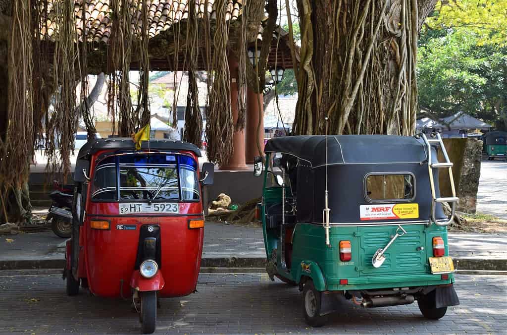 Take a tuk tuk to Matale District from Colombo.