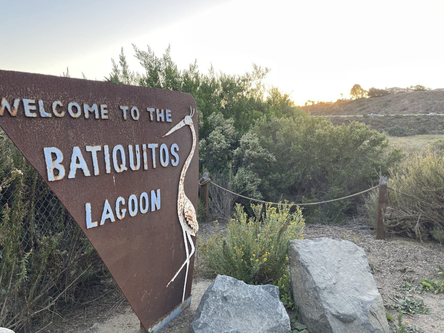 50 Best Things to Do in Carlsbad, CA From a Local (2024)