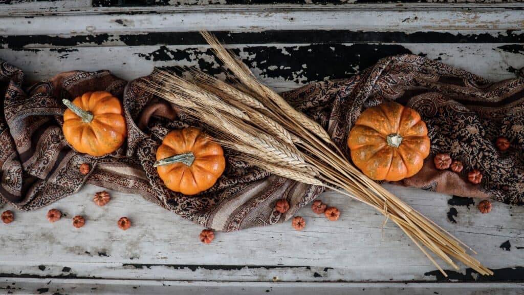 Thanksgiving roasted butternut squash