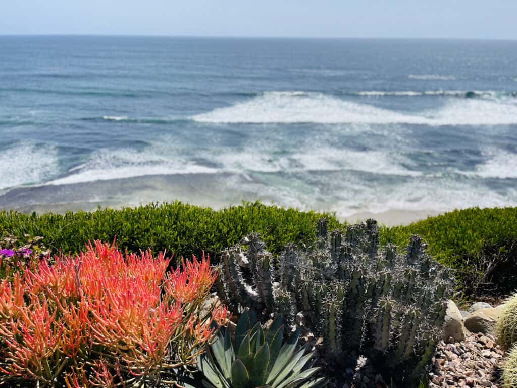 Meditation Gardens Encinitas
