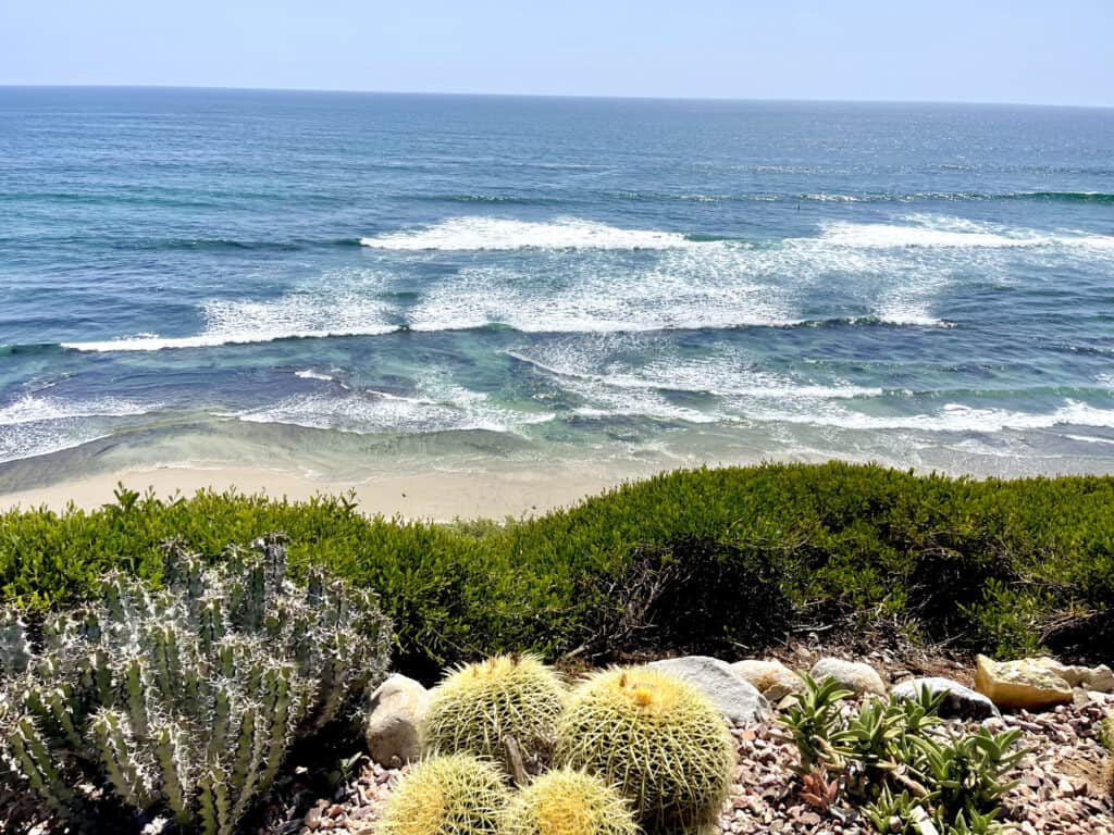 Encinitas California Beach
