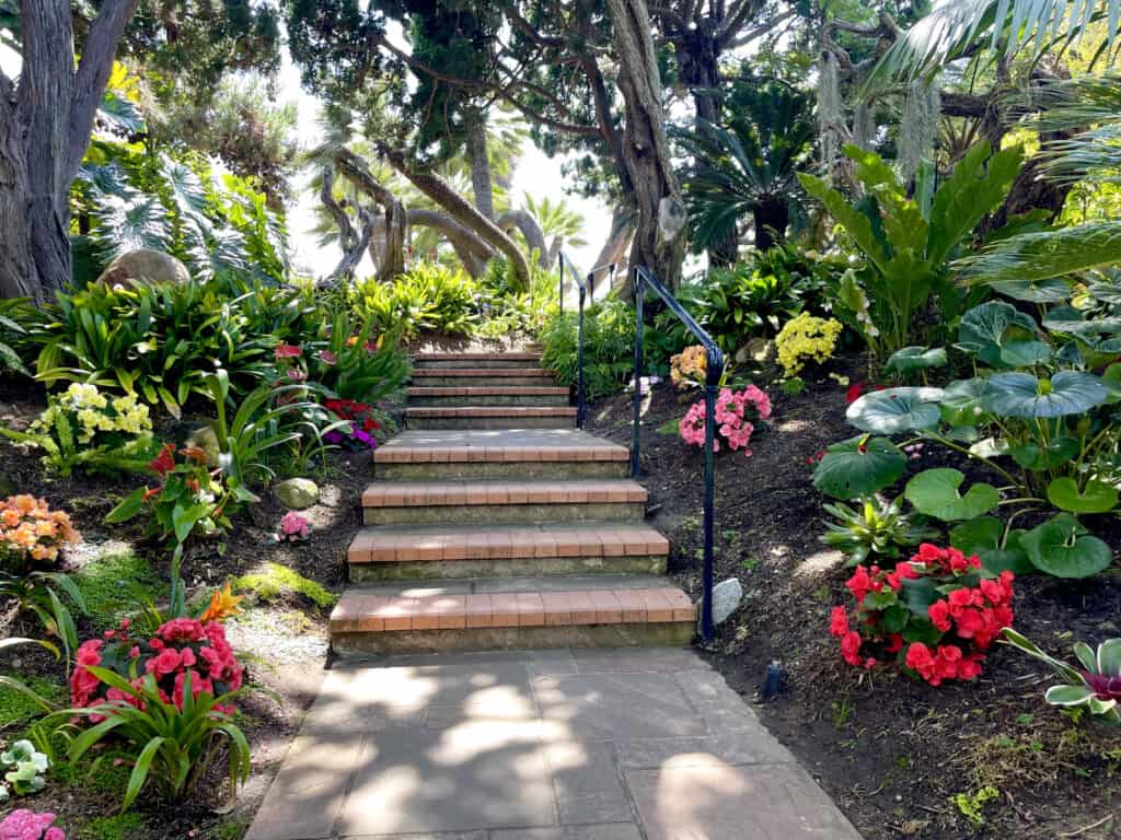 Stairs and flowers in the Encinitas Self Realization Garden.