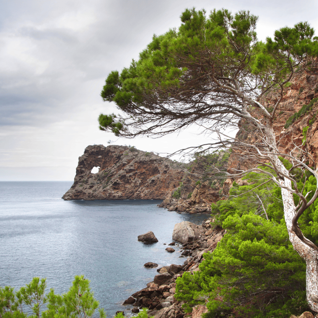 View of the ocean and rocks at Sa Foradada Mallorca.